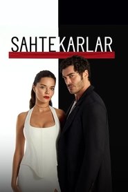 Sahtekarlar 1. Sezon afişi