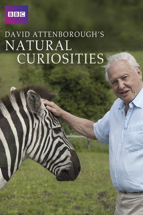 David Attenborough ile Sıradışı Canlılar